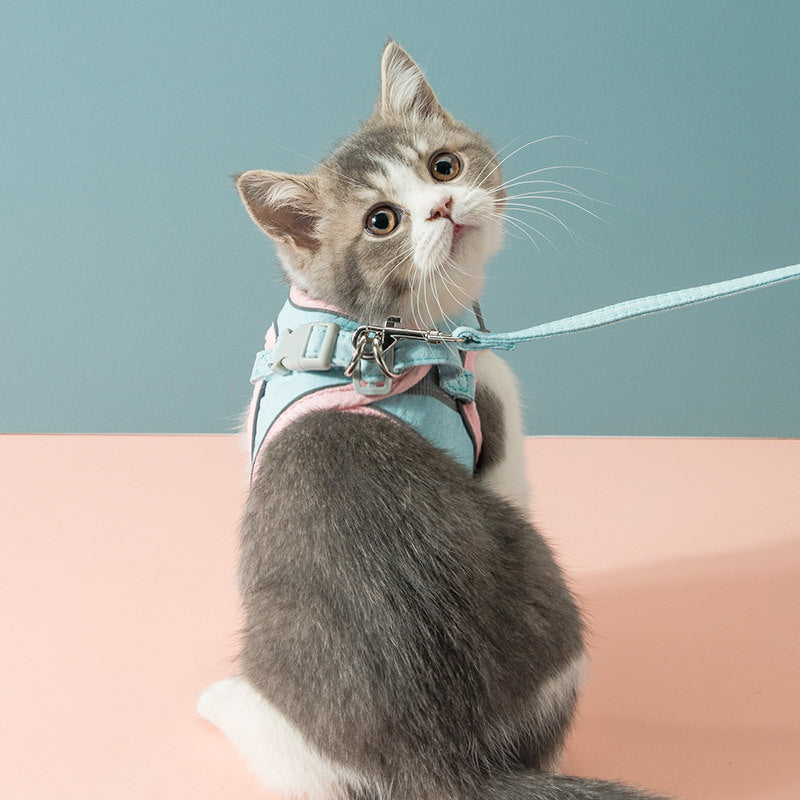 Secure Cat Harness with Traction Rope: Escape Prevention