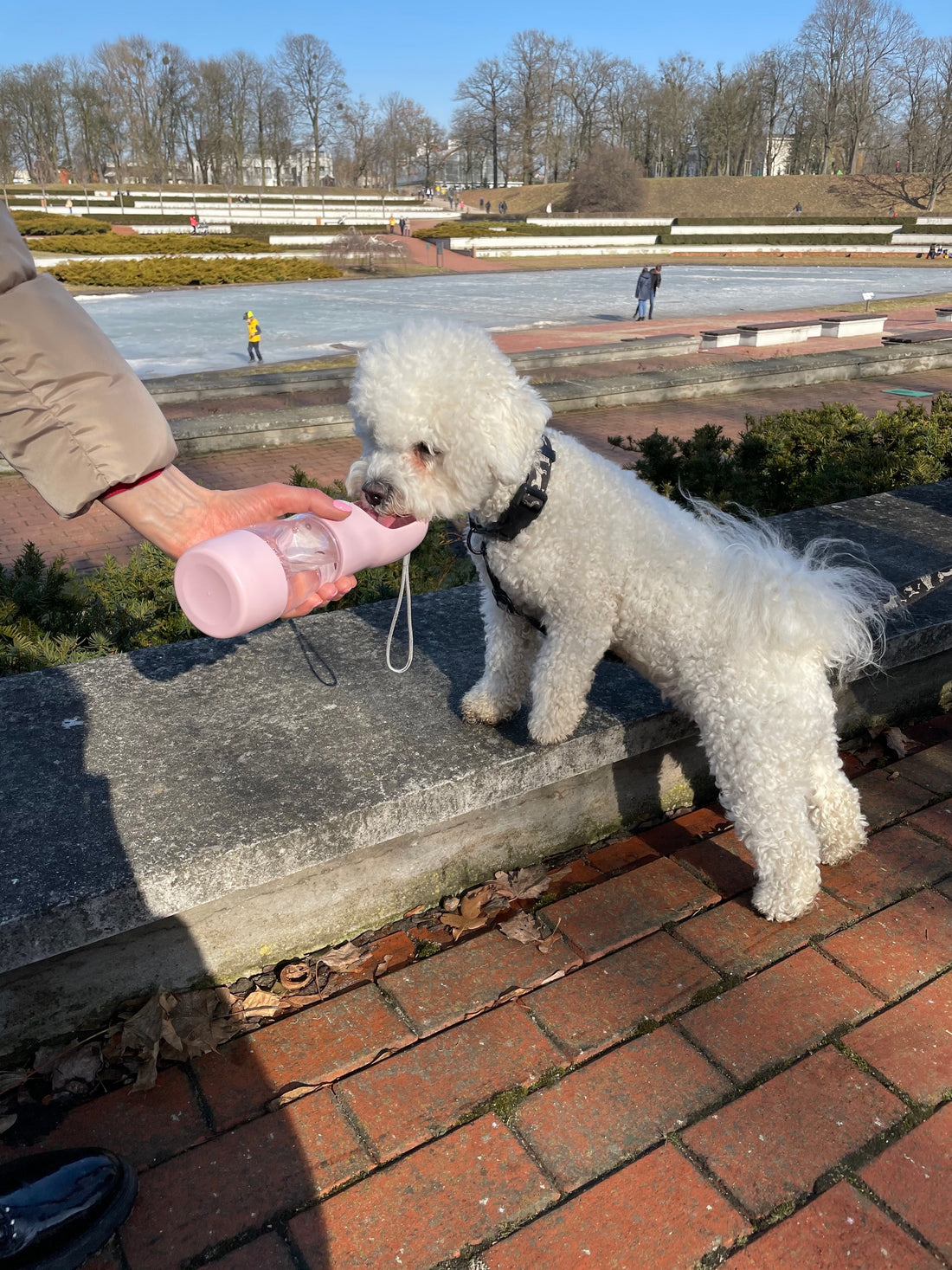 Pet Food & Water Bottle