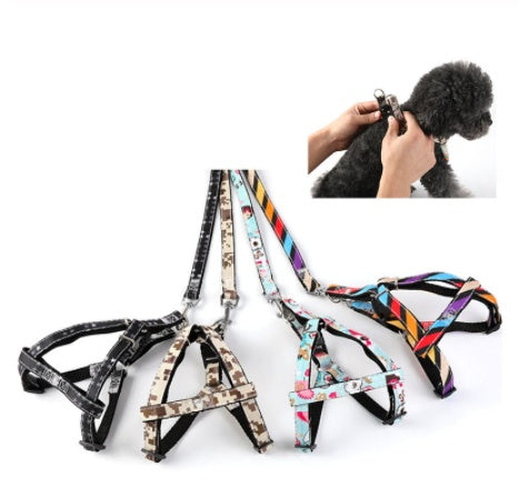 Rodeo Wrangler: Stylish Dog Leash