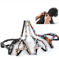 Rodeo Wrangler: Stylish Dog Leash