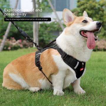 Pet Hand Holding Rope Vest-style Explosion-proof Reflective