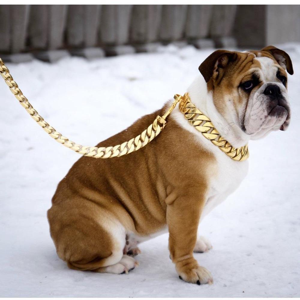 Golden Elegance: 14K Gold Plated KILO Cuban Link Dog Leash - Posh Streetwear for Dogs