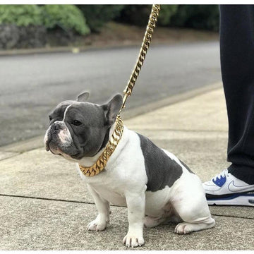 Golden Elegance: 14K Gold Plated KILO Cuban Link Dog Leash - Posh Streetwear for Dogs