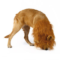 Lion Mane Dog Wig - Perfect Costume for Halloween & Parties