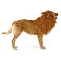 Lion Mane Dog Wig - Perfect Costume for Halloween & Parties