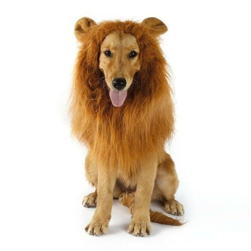 Lion Mane Dog Wig - Perfect Costume for Halloween & Parties