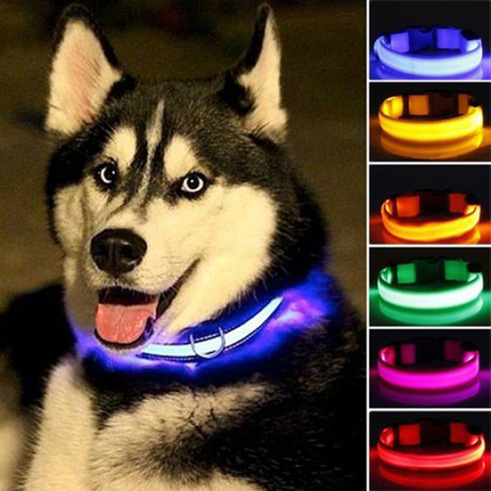 Nylon LED Dog Collar in vibrant red color, glowing brightly in the dark.