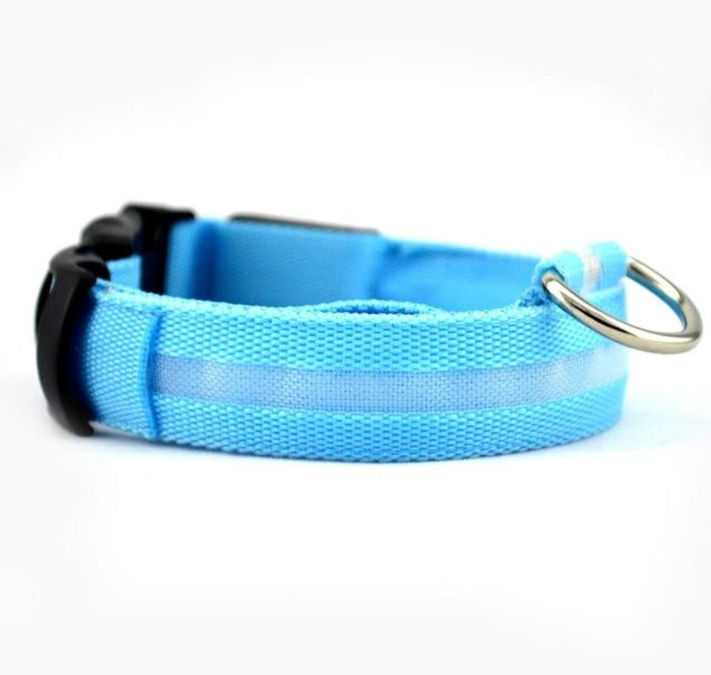 XS size Nylon LED Dog Collar with adjustable length, perfect for small breeds