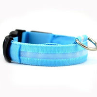 XS size Nylon LED Dog Collar with adjustable length, perfect for small breeds