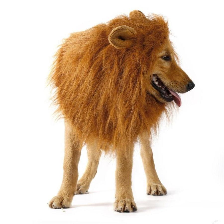 Lion Mane Dog Wig - Perfect Costume for Halloween & Parties